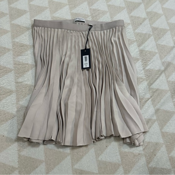 Aritzia Babaton Document Pleated Skirt
Mate satin pleated mini skirt - Picture 4 of 6